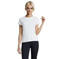 Camiseta Mujer Algodón Corte Entallado Blanco 3XL