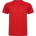 Camiseta Técnica de Colores Rojo 16
