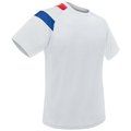 Camiseta Técnica Francia BL L