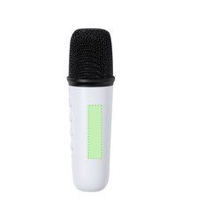 Karaoke con Altavoz Micrófono y Bluetooth 5W | En el mango