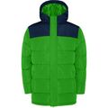 Abrigo acolchado con capucha fija Verde Helecho/Marino L