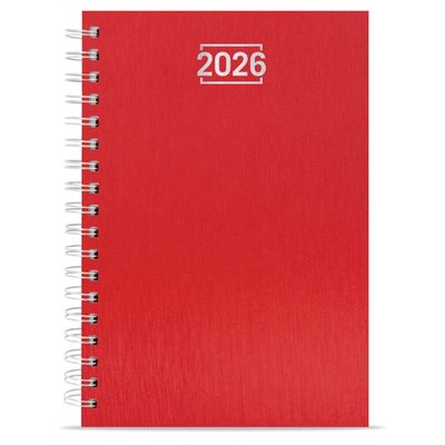 Agenda con anillas metalizadas Ro