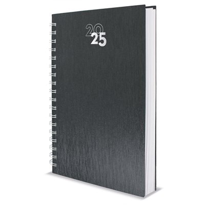 Agenda con anillas metalizadas