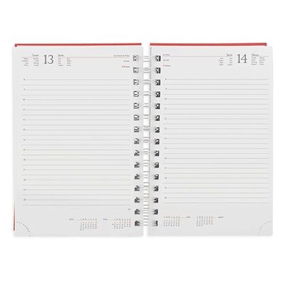 Agenda con anillas metalizadas