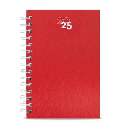 Agenda Día Completa Metalizada RO