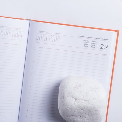 Agenda página por día 2025 de polipiel 14,7 x 21 cm