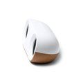 Altavoz inalámbrico de 10W