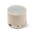 Altavoz inalámbrico con radio y Bluetooth