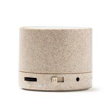 Altavoz inalámbrico con radio y Bluetooth Crudo