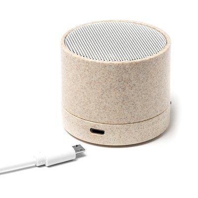 Altavoz inalámbrico con radio y Bluetooth