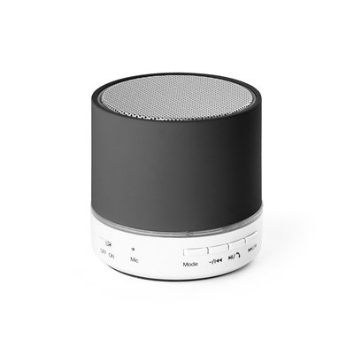 Altavoz Portátil con Micrófono 2h