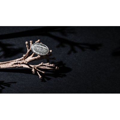 Anillo ajustable en metal
