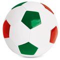 Balón de reglamento