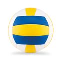 Balón Voleibol Talla 5 PVC con Aguja