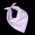 Bandana fiestas Wisteria Purple