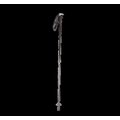 Bastón de trekking aluminio Black