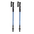 Bastones Senderismo Azul
