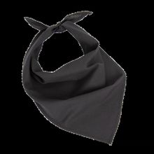 Bandana fiestas Black