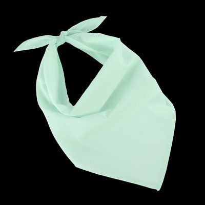 Bandana fiestas Frost Green