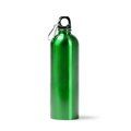 Bidón de 750 ml y tapón antigoteo Verde Helecho Talla Única Adulto