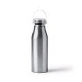 Bidón de aluminio 750ml con asa Plata Talla Única Adulto
