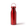 Bidón de aluminio 750ml con asa Rojo Talla Única Adulto