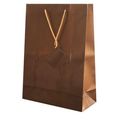 Bolsa de Regalo Plastificada