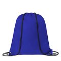 Bolsa Práctica