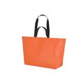 Bolsa laminada dobles asas reforzadas y 10kg Nara