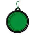 Bol plegable para mascotas Verde Helecho