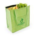 Bolsa Nevera Non Woven 10L