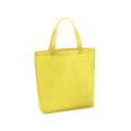 Bolsa en non woven grande Ama