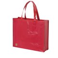 Bolsa en non-woven laminado brillante