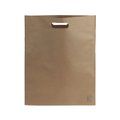 Bolsa Non-Woven RPET Resistente 3kg Marr