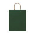 Bolsa de papel 110g con asas rizadas Verde Helecho Talla Única Adulto