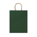 Bolsa de papel 110g con asas rizadas Verde Helecho