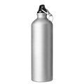 Botella Aluminio 750ml Mate Plata
