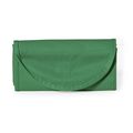 Bolsa pequeña plegable en non woven ribete color Ver