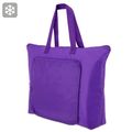 Bolsa nevera plegable gran capacidad Li