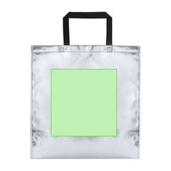 Bolsa en non-woven laminado de acabado metalizado | Cara B | 265 x 260
