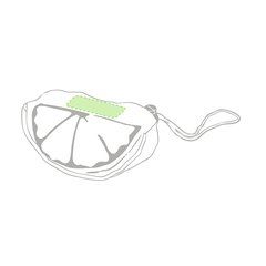 Bolsa compra plegable limón y sandia  | En el limón plegado | 30 x 15