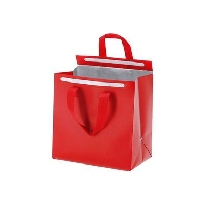 Bolsa nevera isotérmica 6l