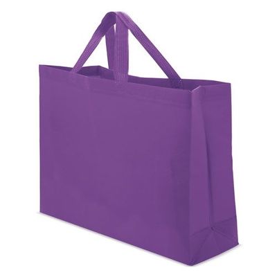 Bolsa Non Woven 39x35x11,5 Li