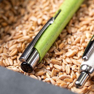 Bolígrafo ecológico de caña de trigo y detalles metálicos