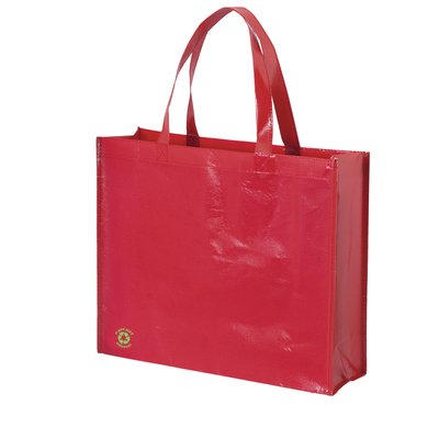 Bolsa en non-woven laminado brillante