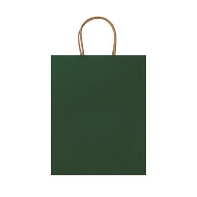 Bolsa de papel 110g con asas rizadas Verde Helecho Talla Única Adulto