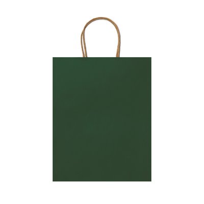 Bolsa de papel 110g con asas rizadas Verde Helecho