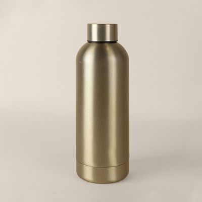 Botella 750ml Inox