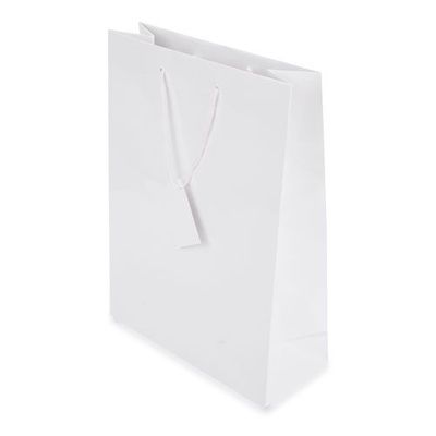 Bolsa de Regalo Plastificada Bl-Nu