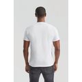 Camiseta algodón cuello redondo